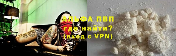 гидра Абаза