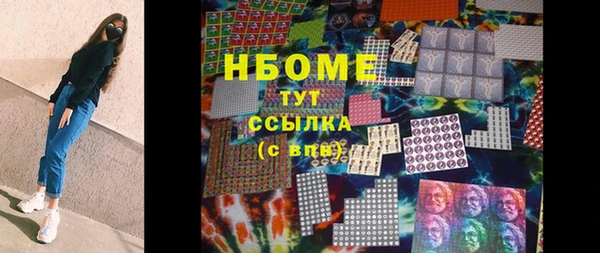 гидра Абаза