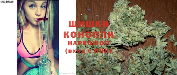 гидра Абаза
