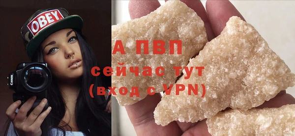 гидра Абаза