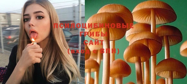 гидра Абаза