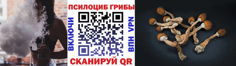 Псилоцибиновые грибы Psilocybine cubensis  Сычёвка 